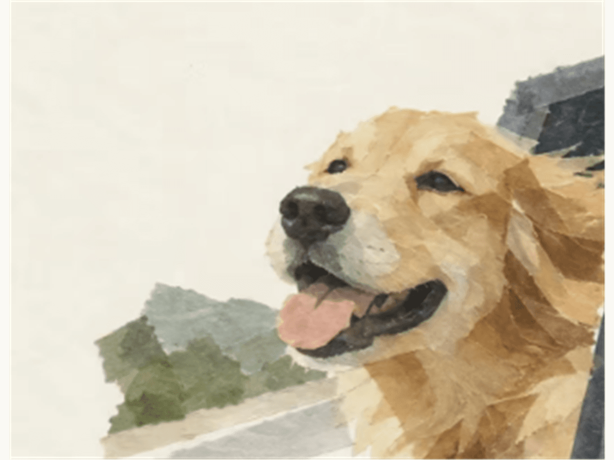 Washi Tape collage of a golden retriever beside an open car window